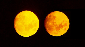 moons 